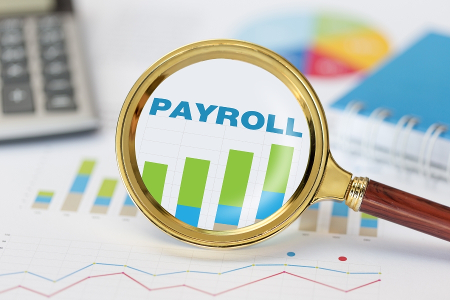 Payroll Services in Dubai
